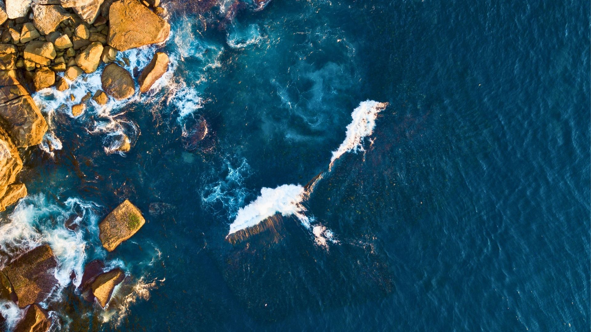 Copernicus registra un nou rècord de la temperatura del mar: "Un oceà sota una pressió creixent"