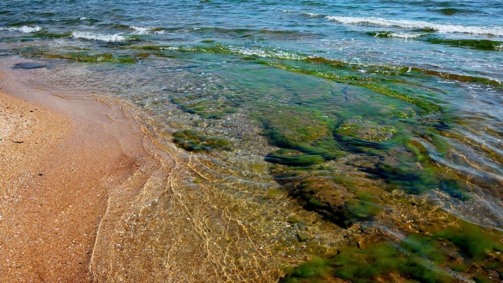 Copernicus registra un nou rècord de la temperatura del mar: "Un oceà sota una pressió creixent"