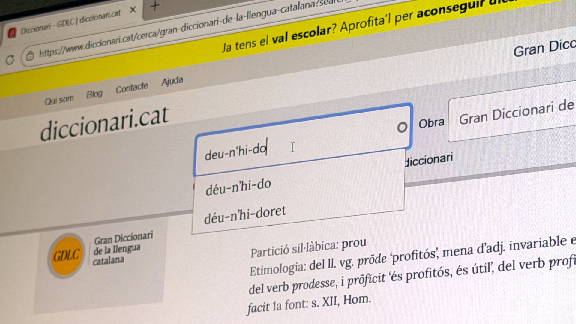 consulta diccionari web