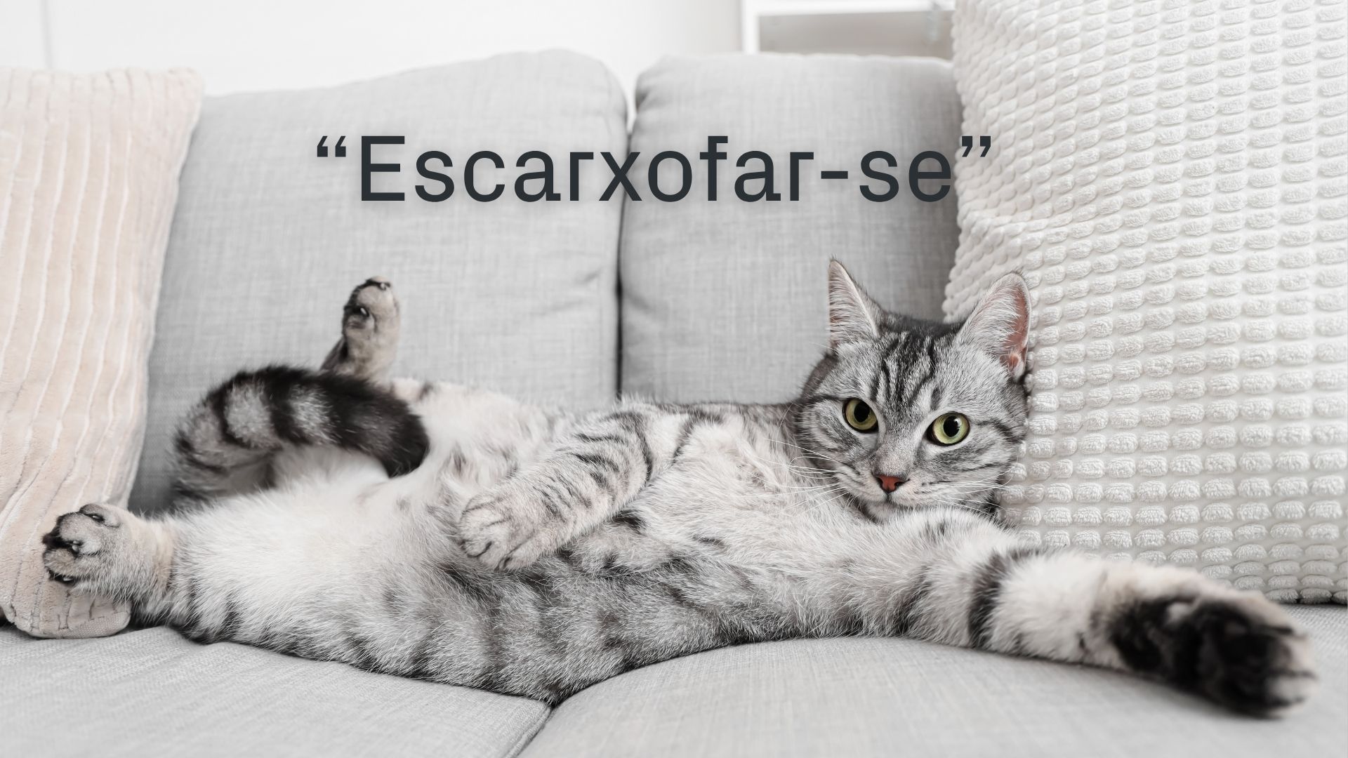 Mots endiumenjats "escarxofar-se"