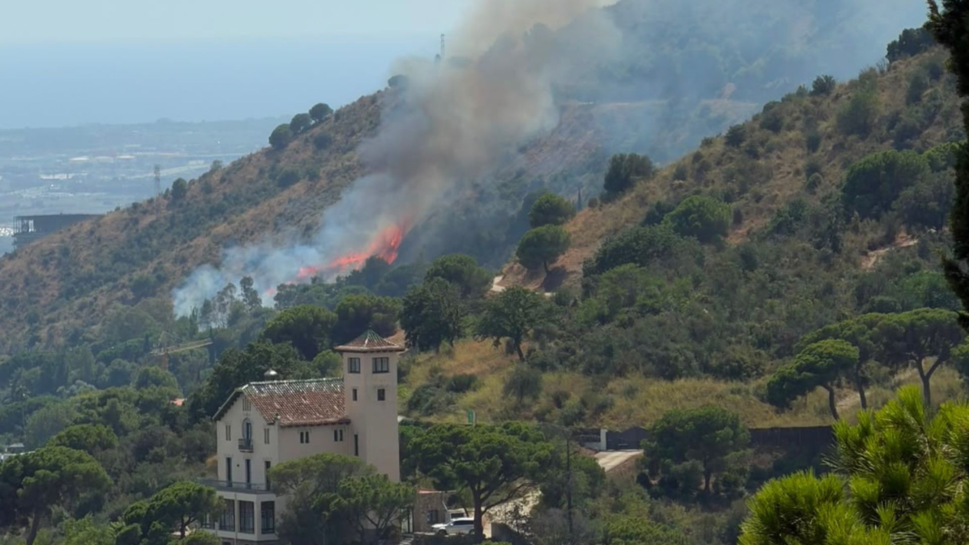 foc collserola