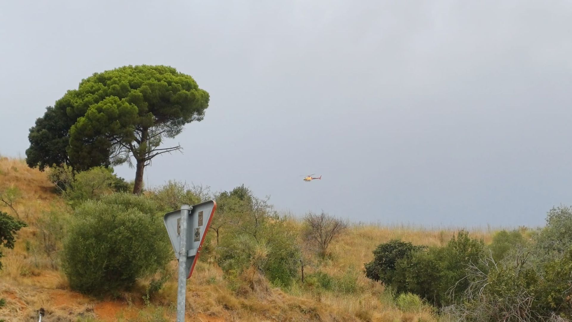 helicòpter incendi Collserola