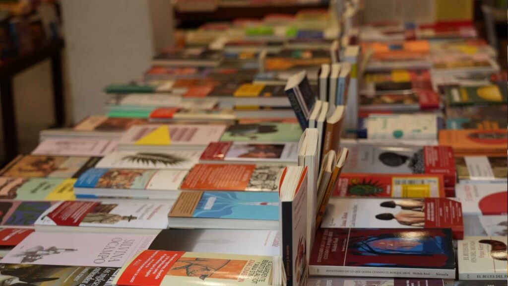 llibres llibreria Documenta