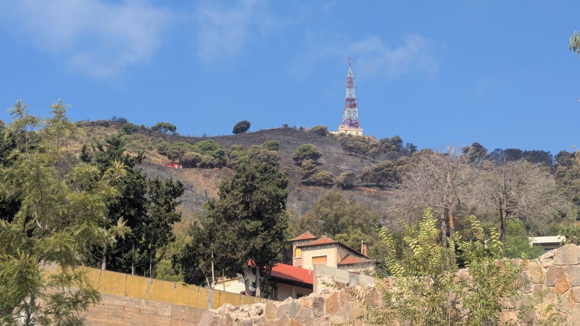 muntanya collserola incendi