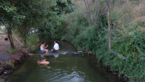 Els banyistes tornen al rec Comtal després del desallotjament de la Guàrdia Urbana