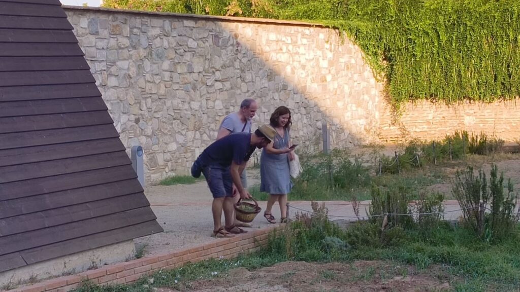 Aprendre a fer ungüents com a l'època medieval en un taller al monestir de Pedralbes | edificis històrics