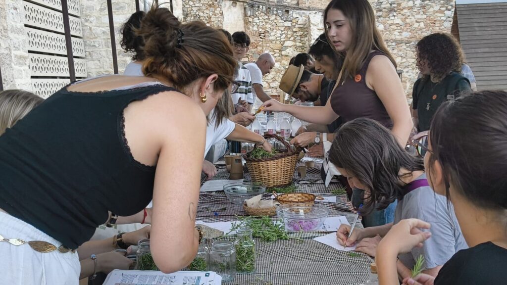 Aprendre a fer ungüents com a l'època medieval en un taller al monestir de Pedralbes | edificis històrics