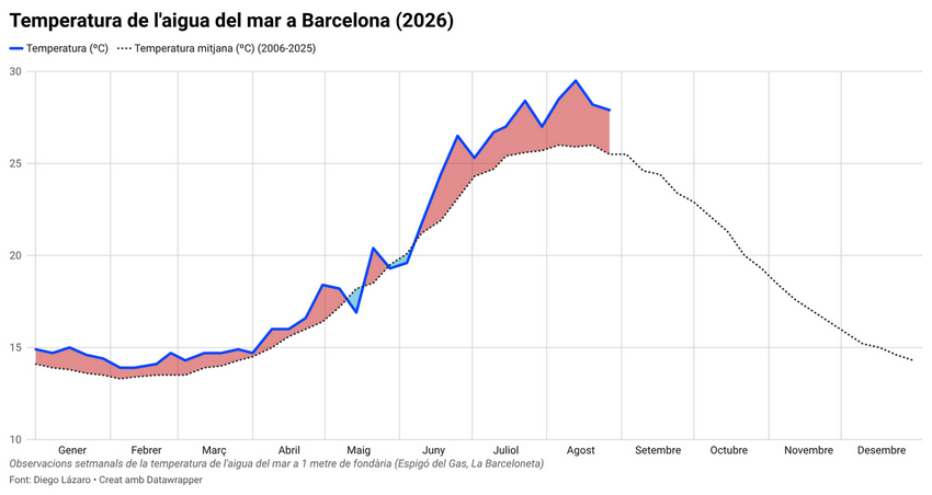 Nuevo récord de temperatura del agua de mar en Barcelona | cambio climático, mar, mar Mediterráneo, temperatura