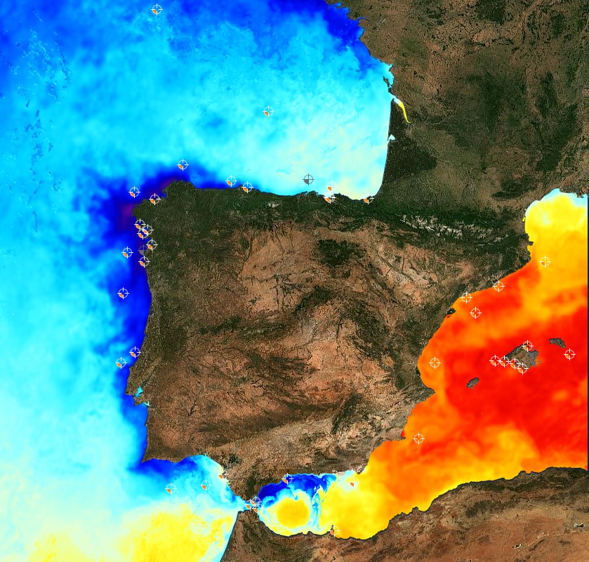 Nuevo récord de temperatura del agua de mar en Barcelona | cambio climático, mar, mar Mediterráneo, temperatura
