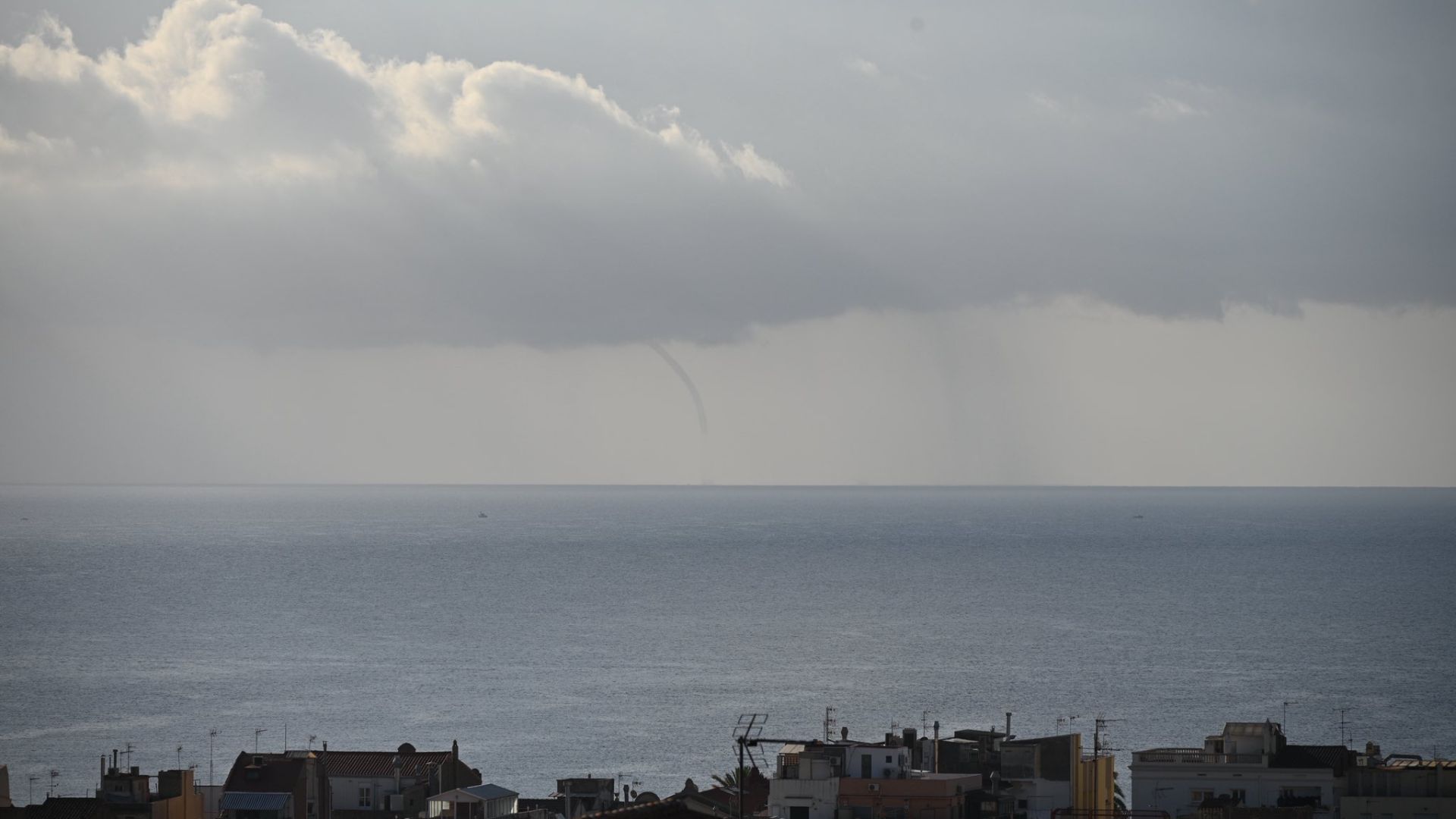 mànega marina des de Badalona