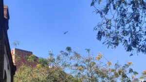 Per què un helicòpter que sembla el dels Mossos d’Esquadra sobrevola el centre de Barcelona?