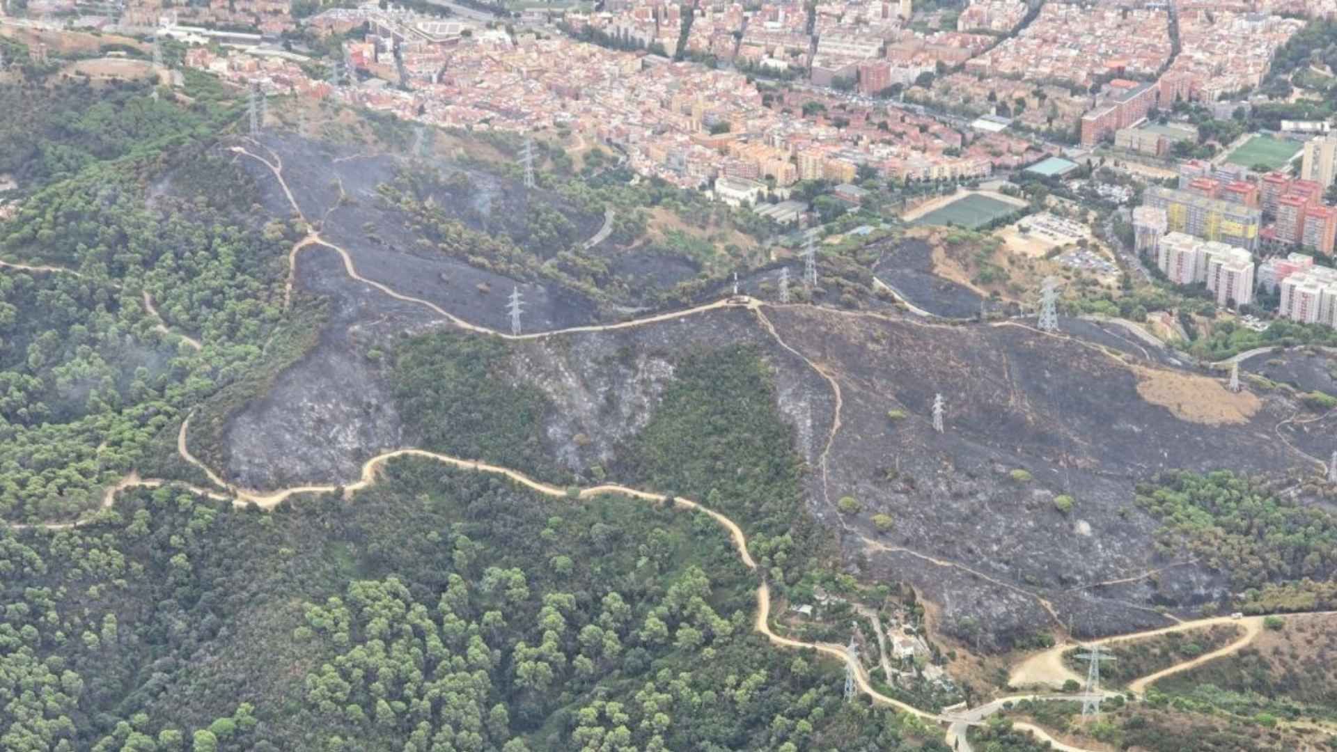 vista aèria zona cremada incendi Collserola