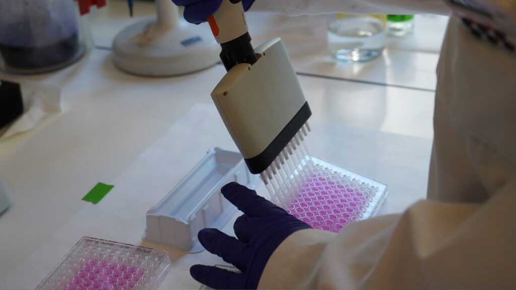 Laboratori Vall Hebron desenvolupa hidrogel injectable quimioteràpia localitzada