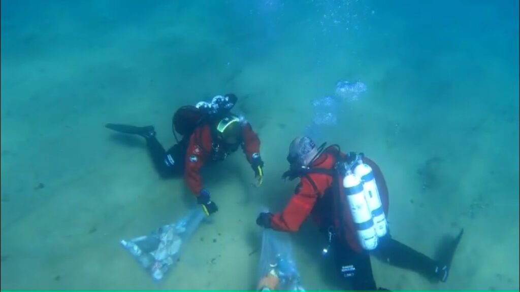 Limpiador de latas de lecho marino Barceloneta
